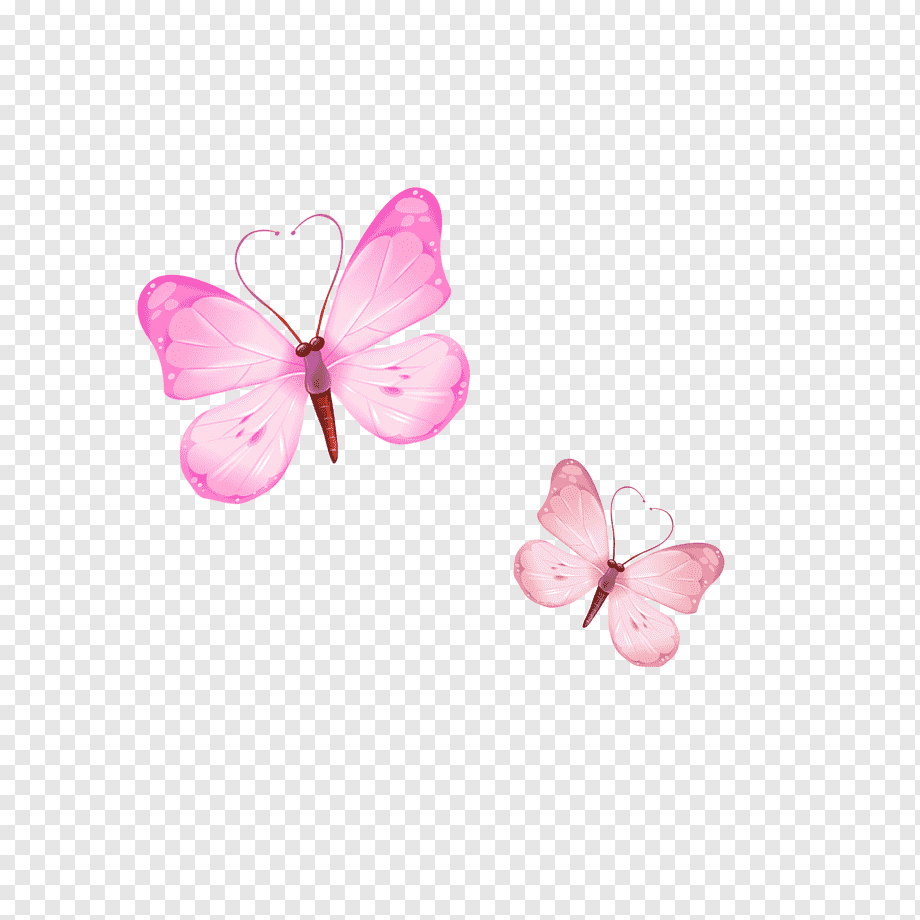 Белая розовая бабочка. Розовые бабочки. Розовые бабочки на белом фоне. Бабочки на белом фоне. Розовые бабочки на прозрачном фоне.