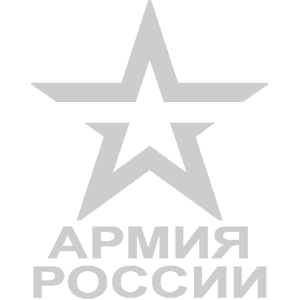 Звезда армия России