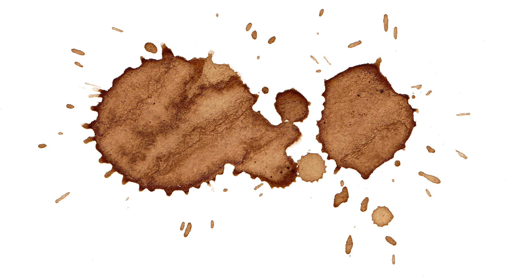 Coffee leaf rust фото 108