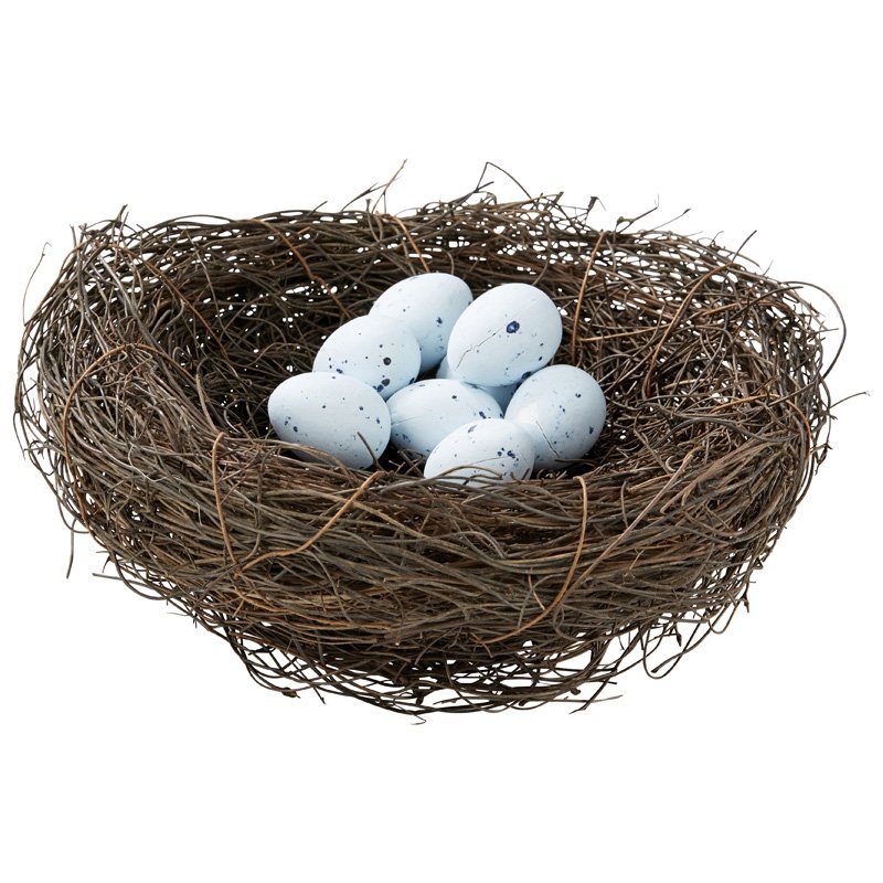 Гнездо для птиц для детей. Гнездо. Яйца птиц. Гнездо с яйцами. Гнезда птиц на белом фоне.