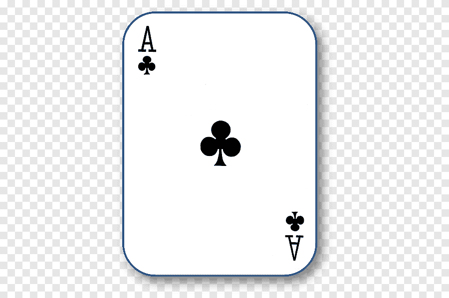 53 53