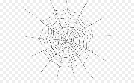 Паутина svg