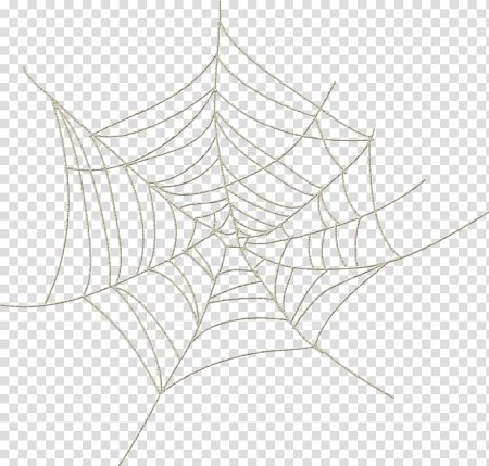 Паутина на прозрачном