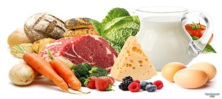 Основные продукты питания