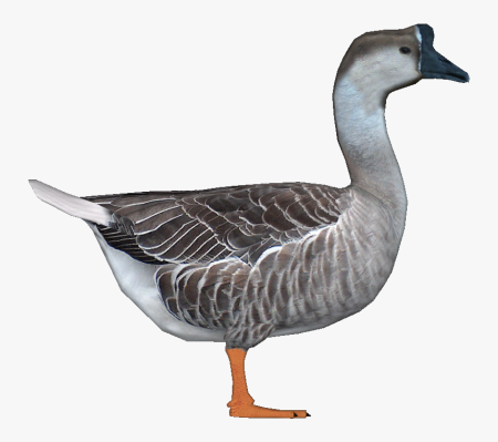 Goose без фона