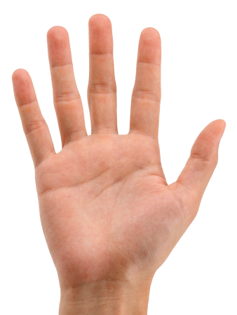 Рука человека