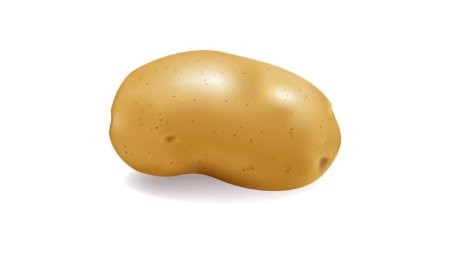 Картошка вектор