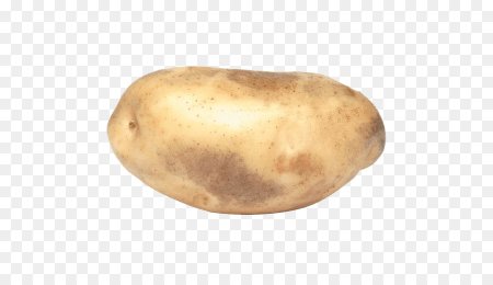 Картофель 'Russet Burbank'
