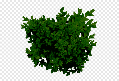 Спрайты кустов