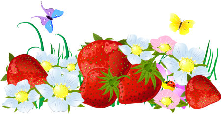 Лето на прозрачном фоне