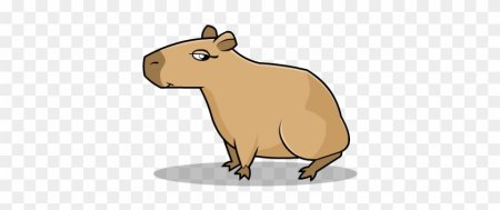 Capybara без фона