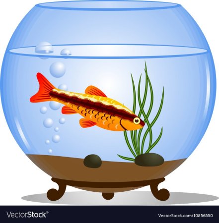 Рыбка в аквариуме вектор