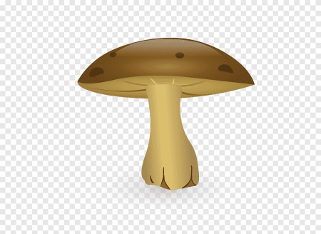 Гриб рисунок