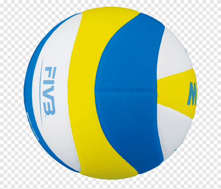 Mikasa Volleyball Ball