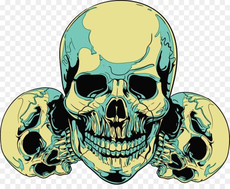 Череп на прозрачном фоне