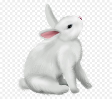 Зайчик белый для детей