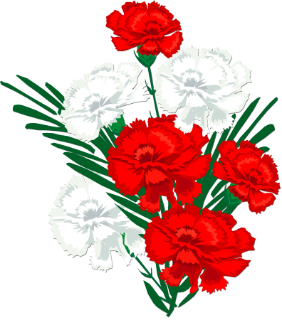 Гвоздика Фунза