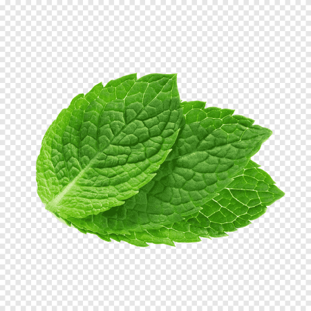 Мята перечная Lemon Mint