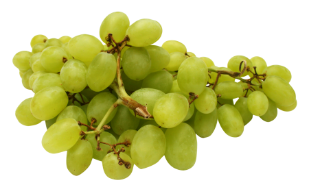 Виноград кишмиш зеленый