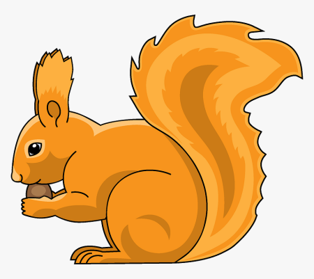 Рисунок белки