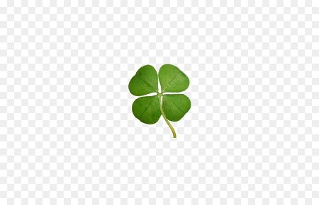 Lucky с листом клевера