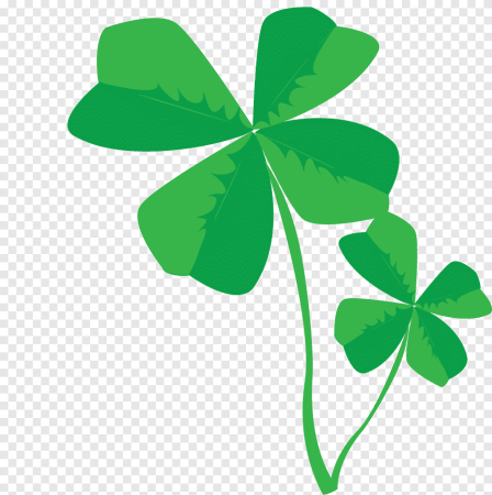 Клевер лист четырехлистник
