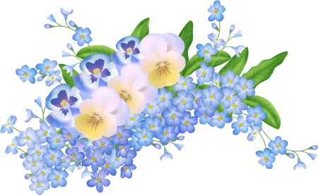 Цветы без фона