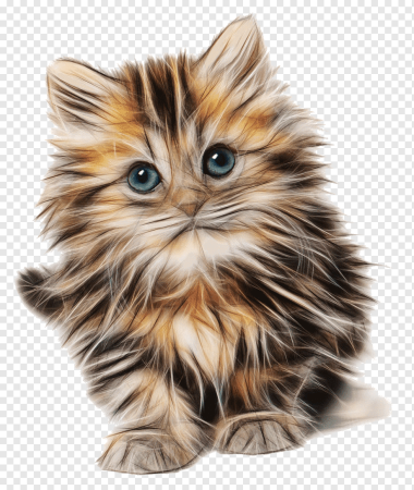 Кошка на прозрачном фоне
