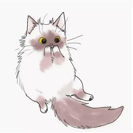 Кот арт без фона
