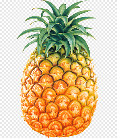Ananas Vista
