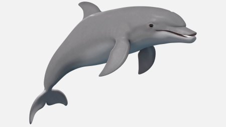 14808 Schleich Дельфин