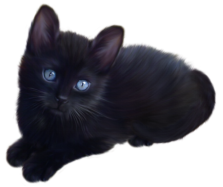 Черная кошка на прозрачном фоне