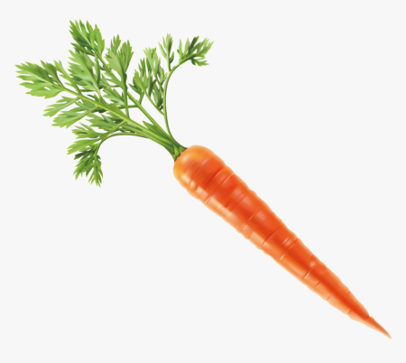 Картинки морковь без фона (58 фото)