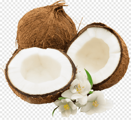 Кокос на белом фоне