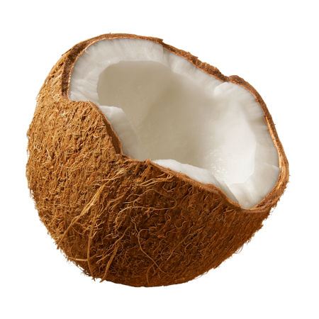 Картинки кокос без фона (60 фото)