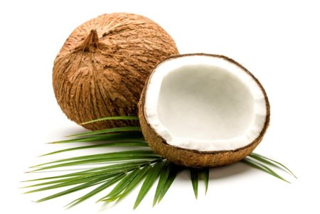 Cocos nucifera 140/19 - Кокос