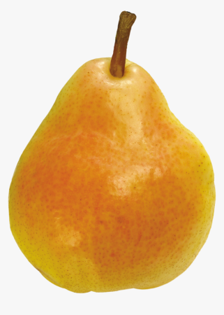 Груша желтая