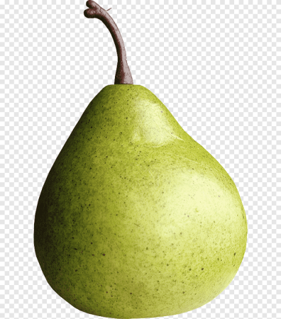Груша фрукт