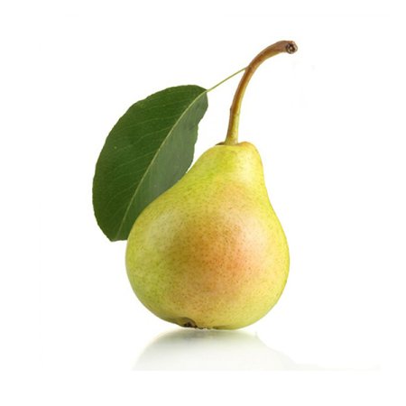 Груша coscia