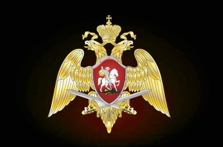 Эмблема ФС ВНГ РФ