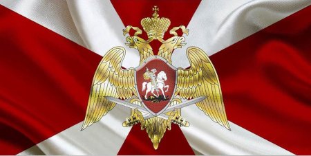 Флаг ВНГ РФ