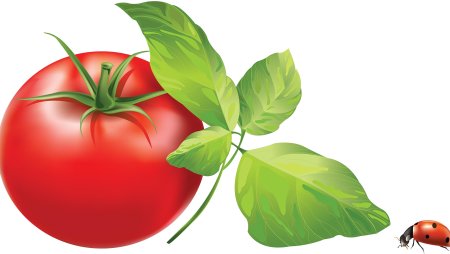 Овощи и фрукты на прозрачном фоне