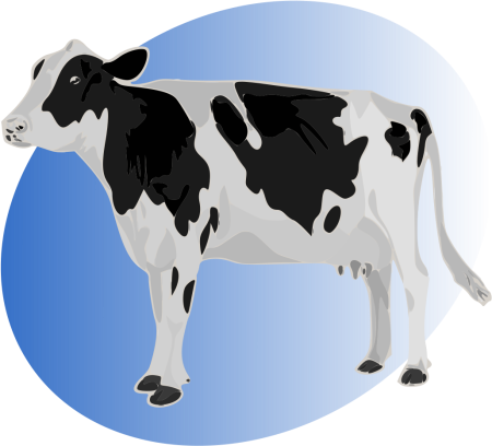 Корова картинка