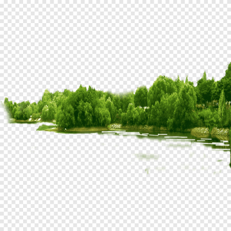 Лес на прозрачном фоне