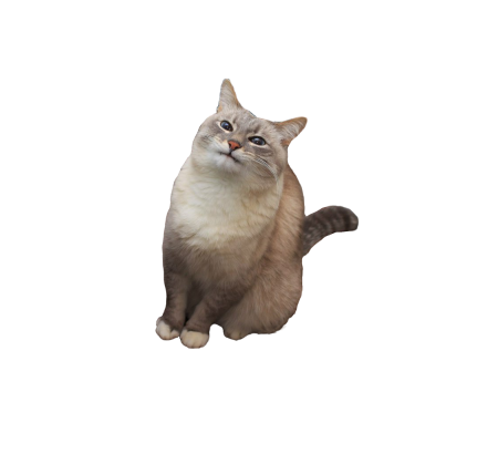 Смешные коты на прозрачном фоне