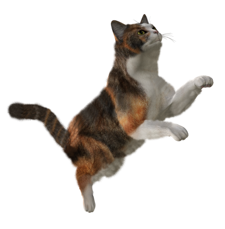 Кошка в прыжке