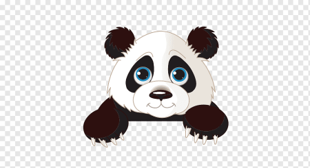 Панда на прозрачном фоне