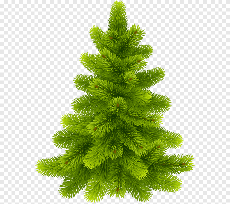 Зеленая елка
