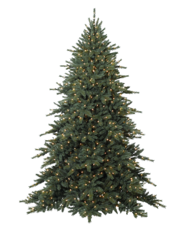 Ель Fraser ur Tree 228