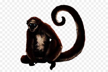 Обезьяна без фона